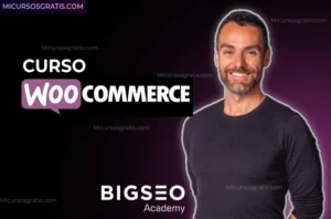 Woocommerce big seo academy