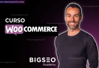 Woocommerce big seo academy